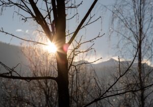 主婦が理想的な生活を送るための起きる時間は何時がベスト？