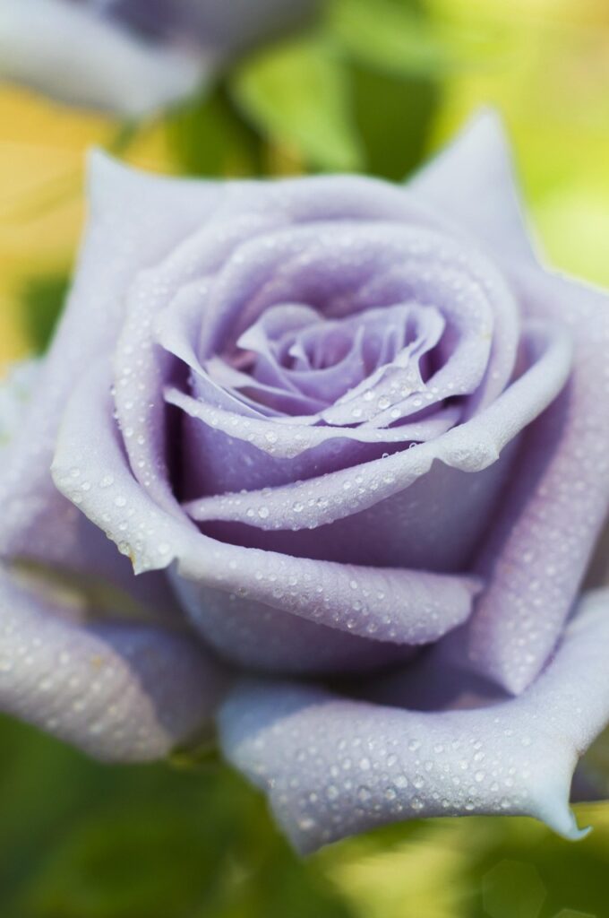 副業で月3万円を稼ぐ方法は？