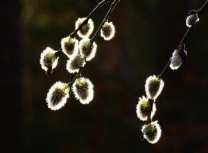 子供が寝た後に知りたいBASE開設方法は？