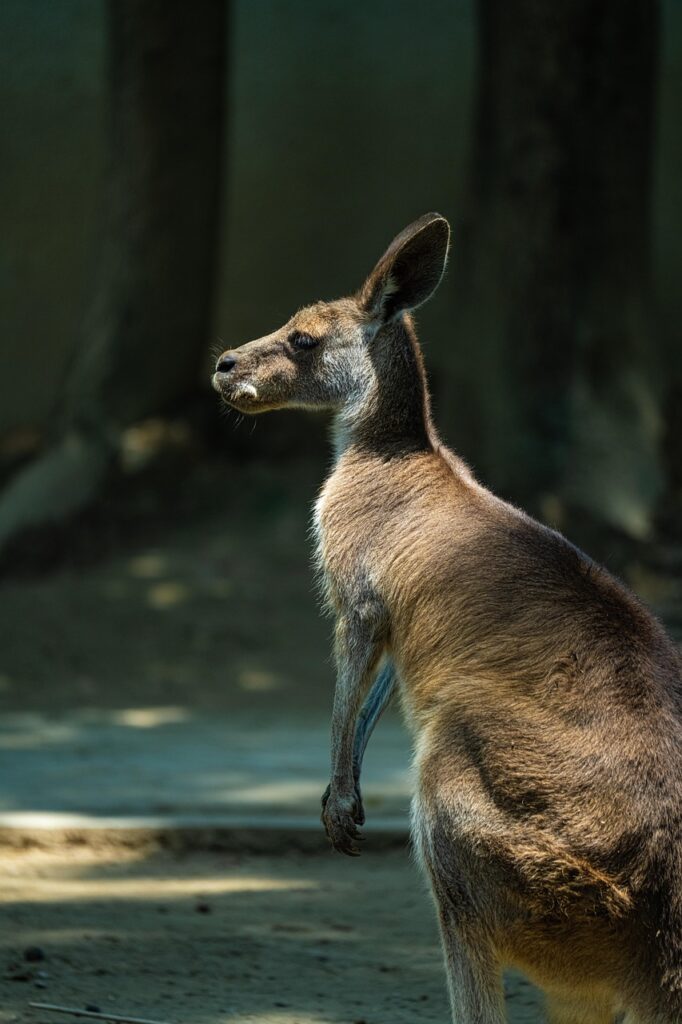 副業を始める主婦が月3万円稼ぐための初心者向けガイドは？