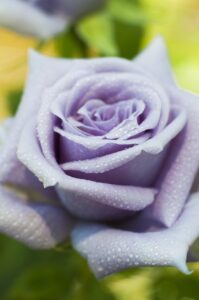 副業を考える主婦必見！月3万円を稼いだ実例とは？